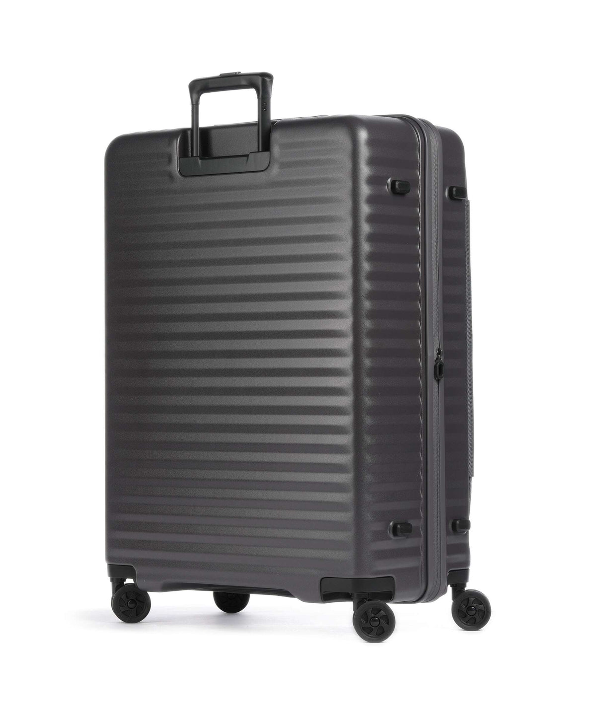 Echolac Celestra FA L Spinner (4 wheels) dark grey