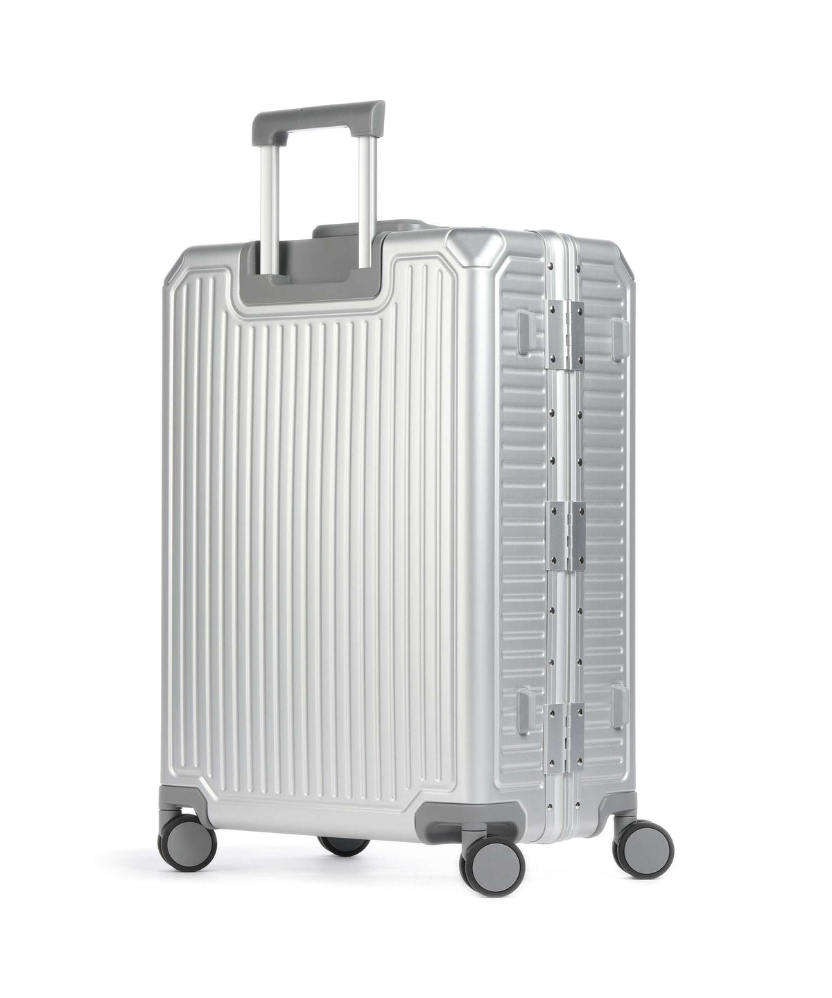 Echolac Shogun Classic M Spinner (4 wheels) silver