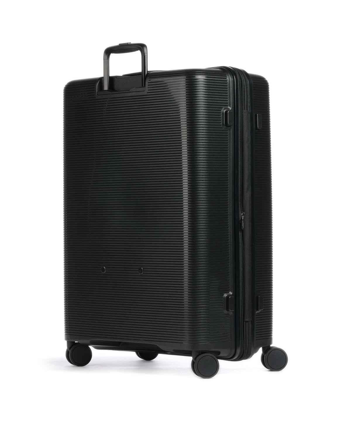 Echolac Forza L Spinner (4 wheels) black