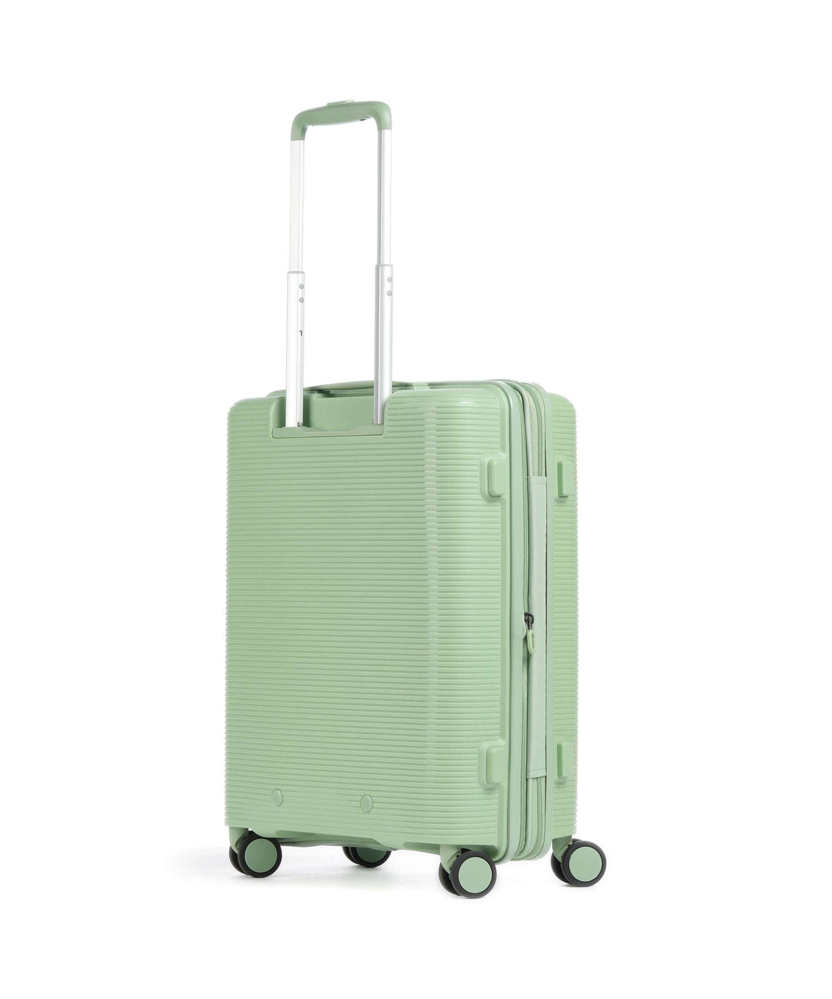 Echolac Forza S Spinner (4 wheels) reef green