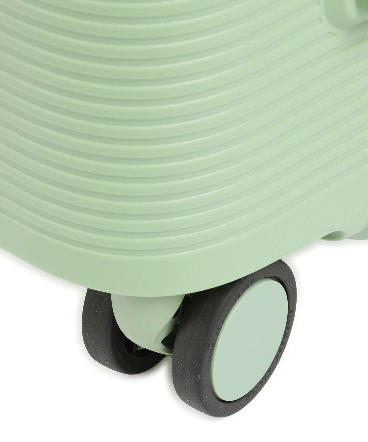 Echolac Forza M Spinner (4 wheels) reef green